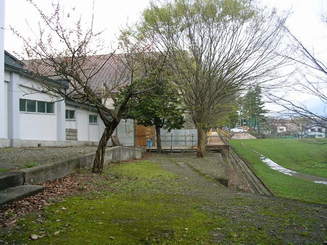 img0003.jpg