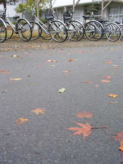 img0009.jpg