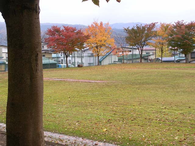 img0010.jpg
