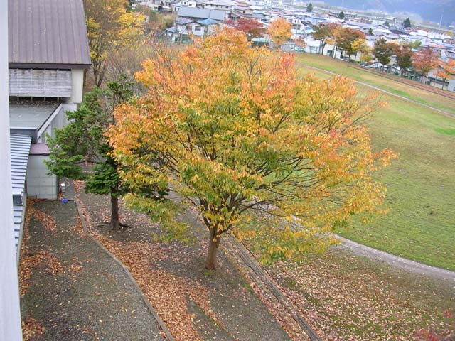 img0027.jpg