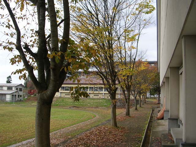 img0029.jpg