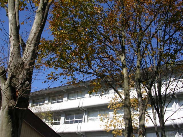 img0031.jpg