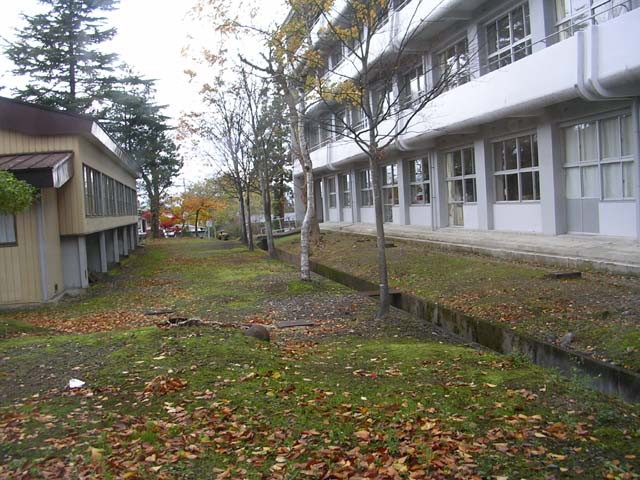 img0034.jpg