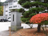 img0001.jpg