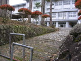 img0003.jpg