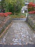 img0004.jpg