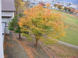 img0027.jpg