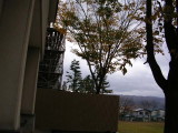 img0030.jpg