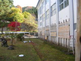 img0033.jpg