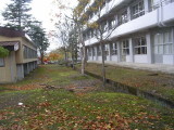img0034.jpg