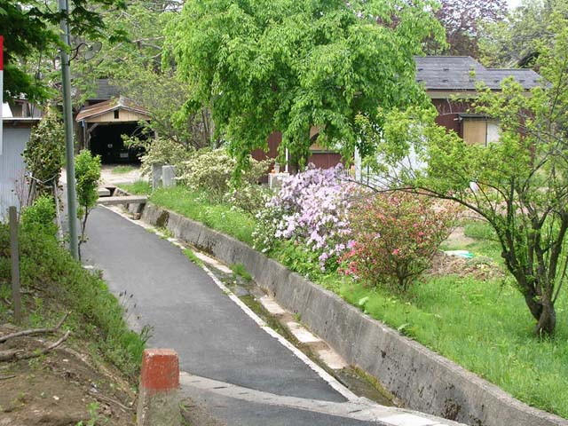 img0003.jpg