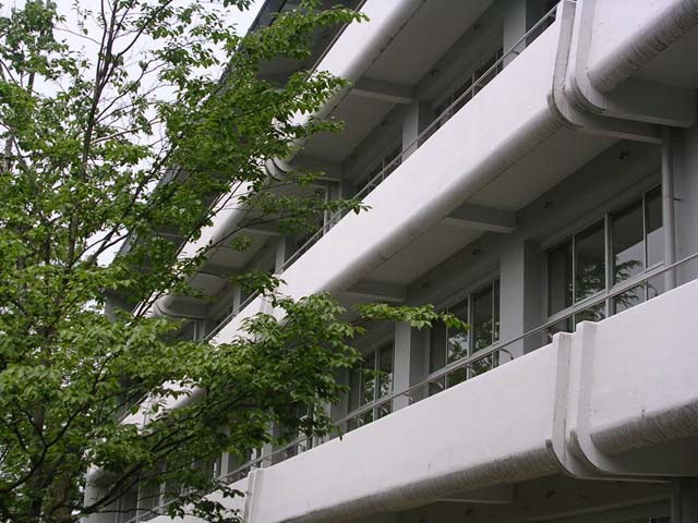 img0006.jpg