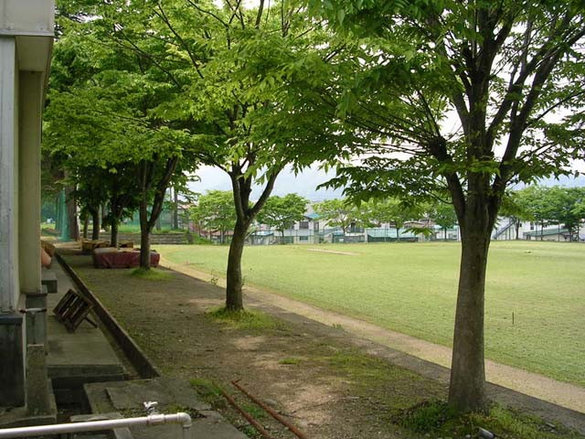 img0008.jpg