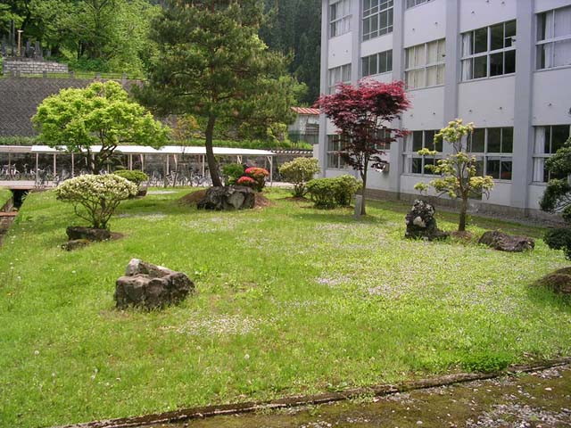 img0013.jpg