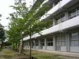 img0004.jpg