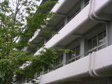 img0006.jpg